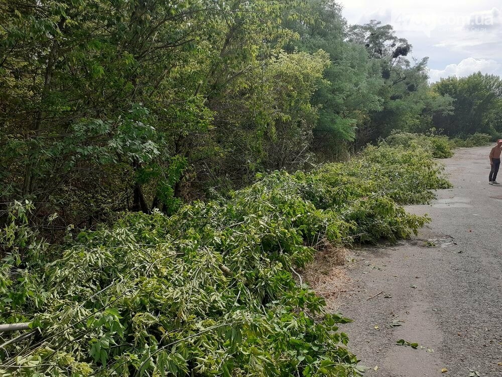 Ротмістрівська громада з літа дбає, щоб у школах і дитсадк..., фото-2 Ротмістрівська громада з літа дбає, щоб у школах і дитсадках взимку було тепло, фото-2