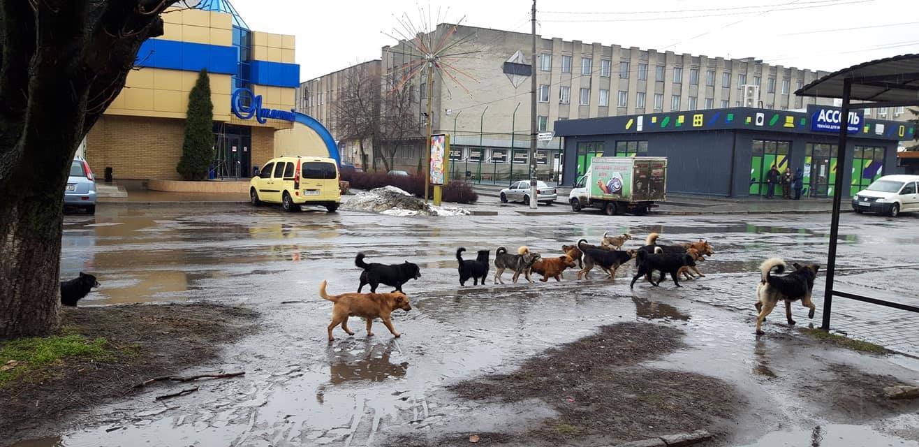 ФОТОфакт від Alexander Slepcowski ФОТОфакт від Alexander Slepcowski, Подслушано в Смеле